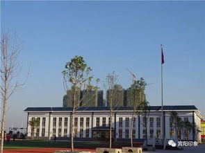 賓陽縣鳳凰小學(xué)招生啟動(dòng)，優(yōu)質(zhì)教育資源助力賓陽房產(chǎn)價(jià)值提升